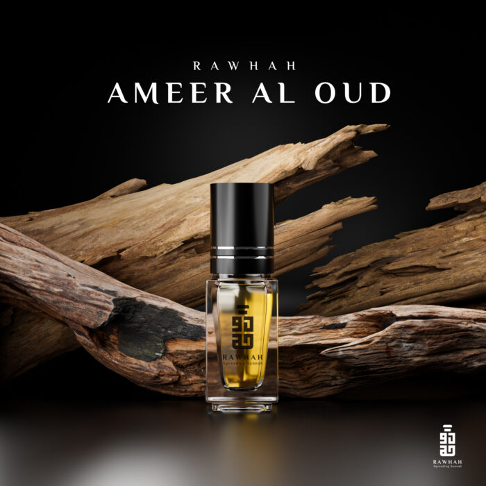 Ameer Al Oud - Image 1